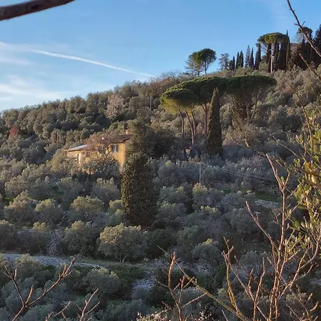 Villa Anna *